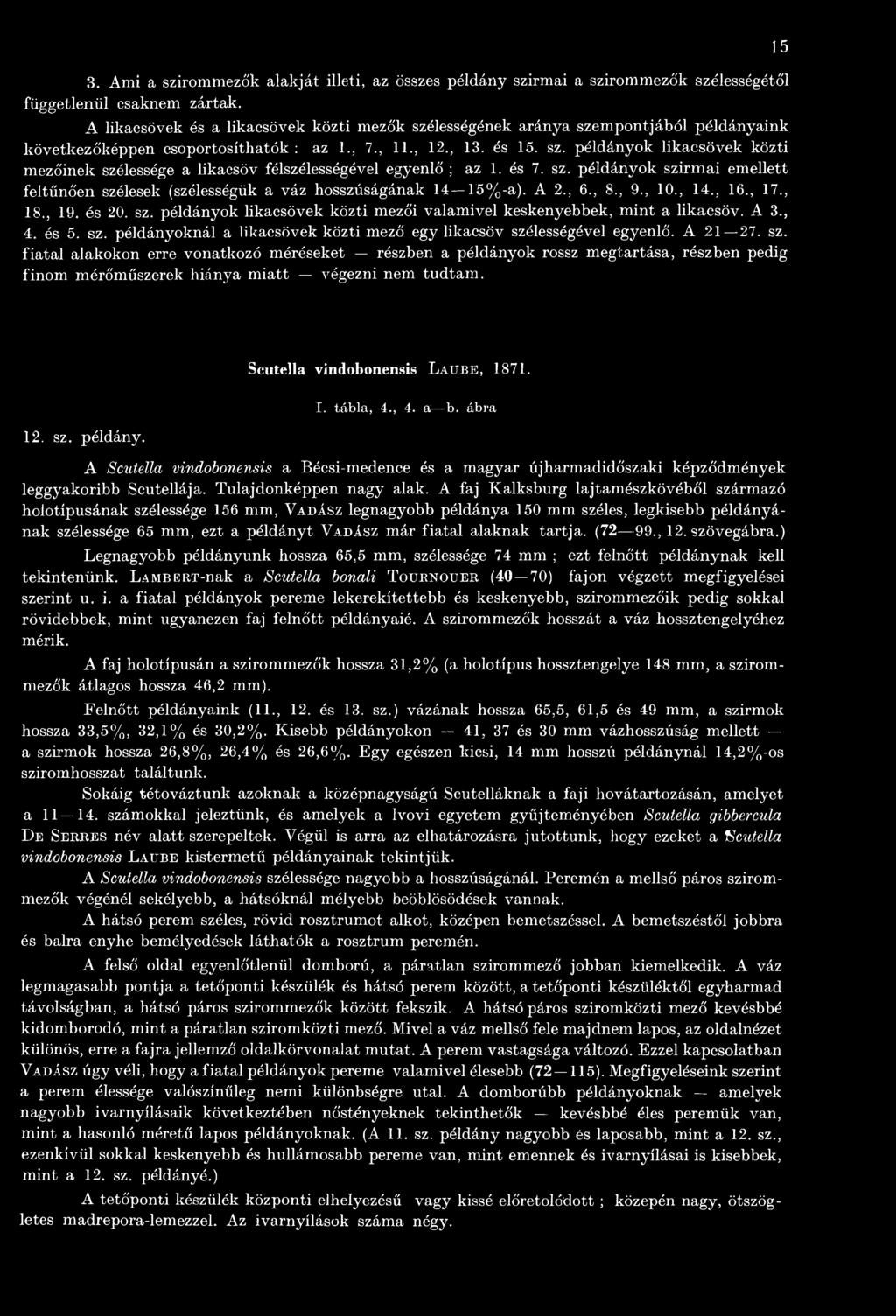 15 12. sz. példány. Scutella vindobonensis Lau b e, 1871. I. tábla, 4., 4. a b. ábra A Scutella vindobonensis a Bécsi-medence és a magyar újharmadidőszaki képződmények leggyakoribb Scutellája.