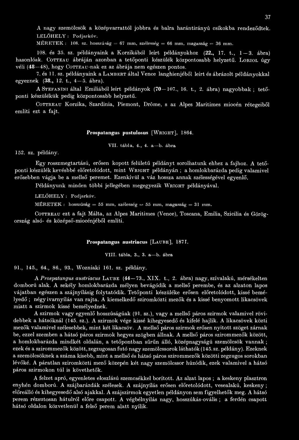 Cottreau Korzika, Szardínia, Piemont, Drôme, s az Alpes Maritimes miocén rétegeiből említi ezt a fajt. 37 Prospatangus pustulosus [W right], 1864. 152. sz. példány. VII. tábla, 4., 4. a b.
