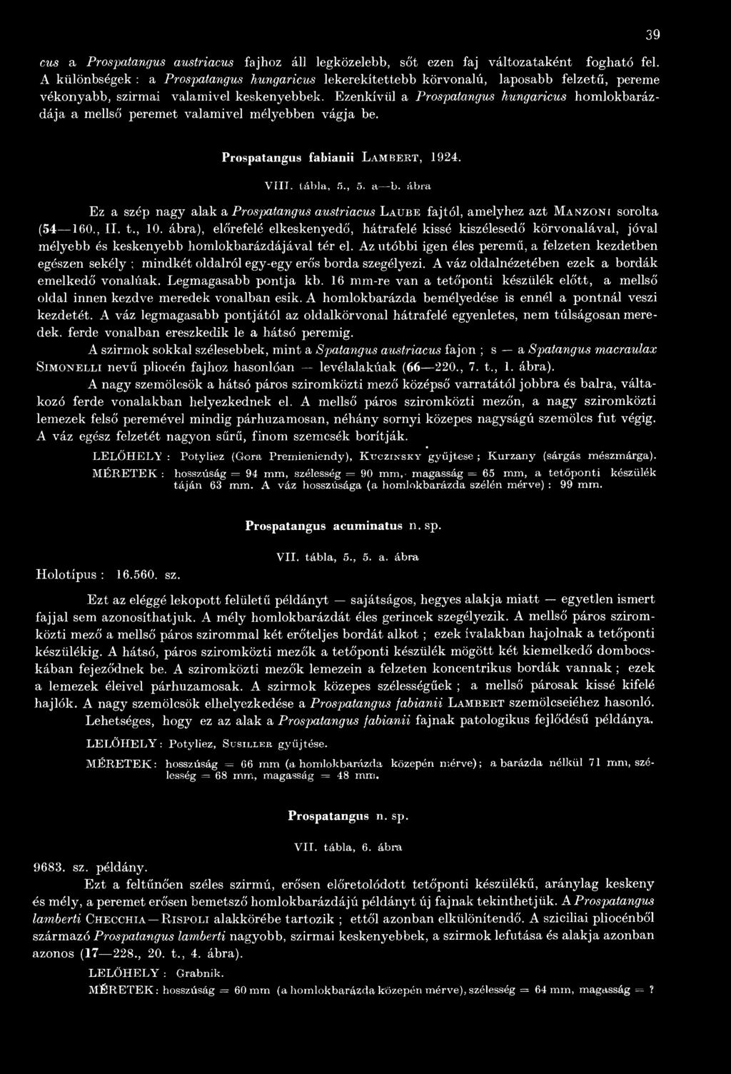 Ezenkívül a Prospatangus hungaricus homlokbarázdája a mellső peremet valamivel mélyebben vágja be. 39 Prospatangus fabianii Lambert, 1924. V III. tábla, 5., 5. a b.