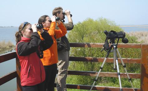 Nemzeti Biodiverzitás-monitorozó Rendszer kialakítása, felépítése és működése z országos monitorozó rendszer kialakítása 1996-ban kezdődött az állami természetvédelem kezdeményezésére, a hazai