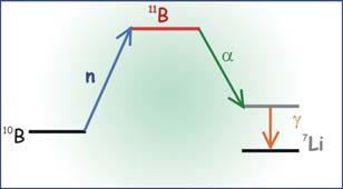 Neutron 10 Β(n, α γ) 7 Li * 10 B γ 7 * Li α-részecske