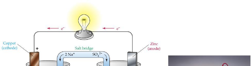 Zn(s) Zn 2+ (aq) Cu 2+ (aq) Cu(s) E cell = 1.
