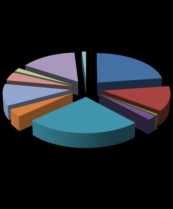 86 Értékcsökkenési leirás Nemangyagi költségek 6,86 % 5,45 % Pénzügyi kiadások 0,03% Készlet értékcsökkenése 0,86 % BEVÉTELEK ALAKULÁSA STERVEZETI EGYSÉGEK SZERINT 2017-BEN Temetkezési szolgálat