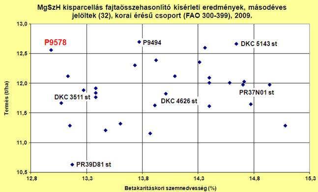 2.sz.ábra Dupla csövőségre hajlamos A P9578 látványos tulajdonsága a kétcsövőségre való hajlamossága.