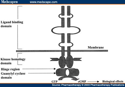 Guanilát-cikláz receptorok egy TM domén, EC