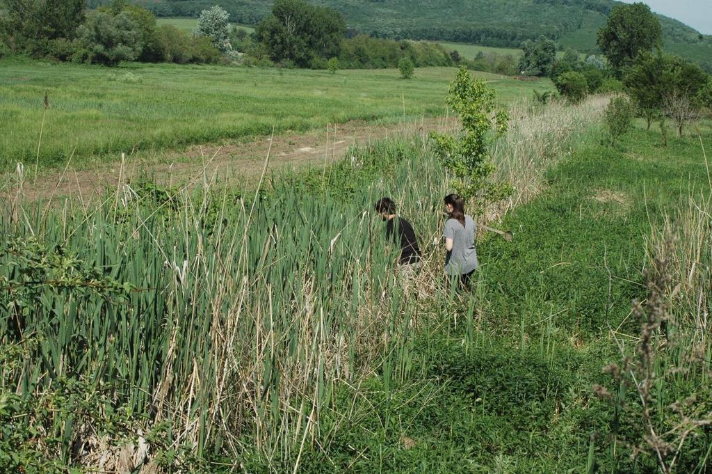 változásokat pl. tószerű kiszélesedés, oldalág, szennyvíztisztító telep vízbevezetése előtti, és utáni minta is legyen, valamint fontos szempont volt a megközelíthetőség.