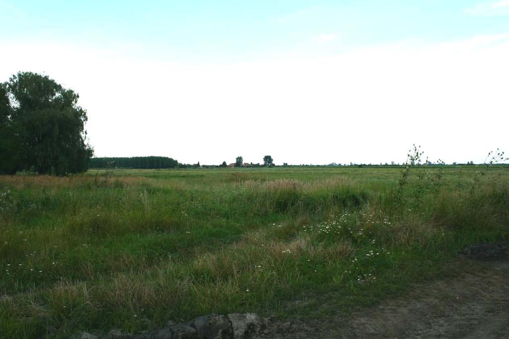 A területre vonatkozó légifényképek régészeti vonatkozású információi A kutatott területre vonatkozóan a 2000. évi, geodéziai céllal készített légi fénykép sorozatot vizsgáltuk át.