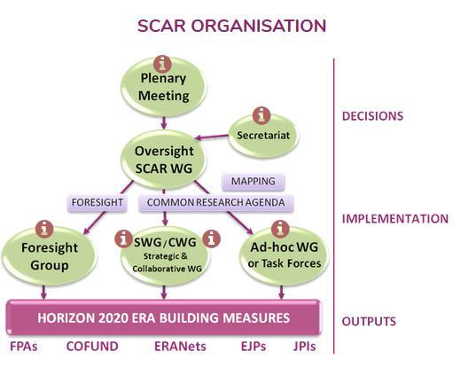 SCAR Structure Minden SCAR csoport önállóan dolgozik, de végső soron a félévente