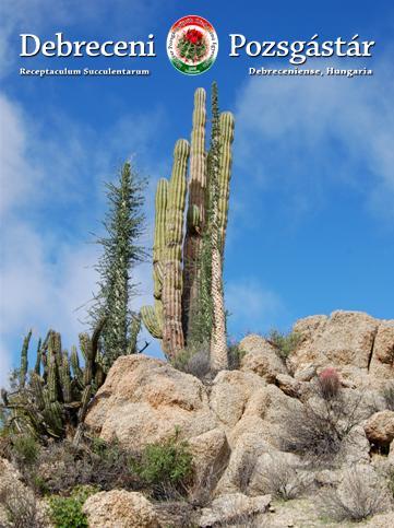 18 2016-ban csak 5.000,-Ft! Érdeklik a pozsgásnövények és a kaktuszok? A világ élvonalába tartozó írásokat akar olvasni újonnan felfedezett növényekről? Ismerni akarja élőhelyüket?