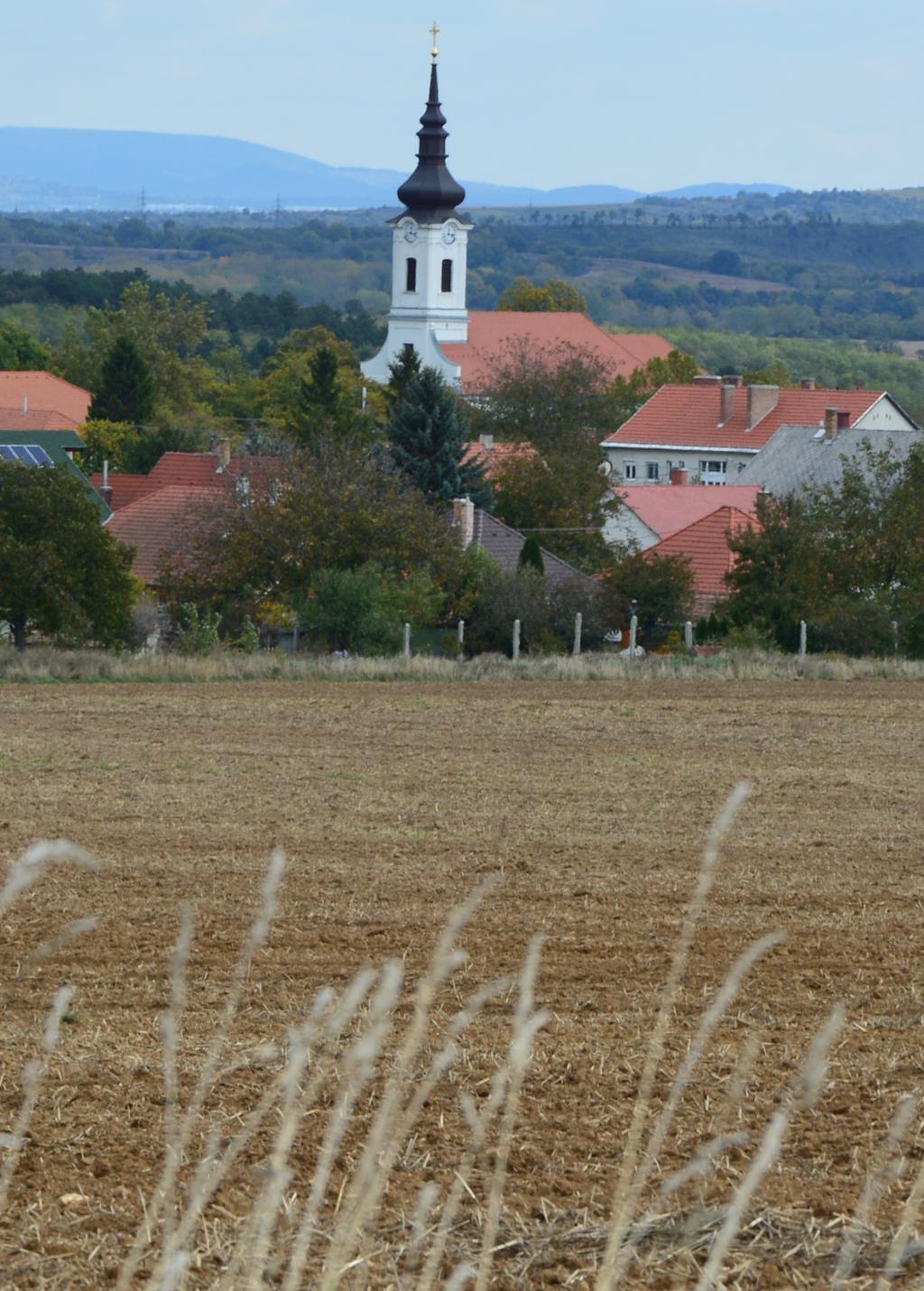 Helyi építési szabályzat
