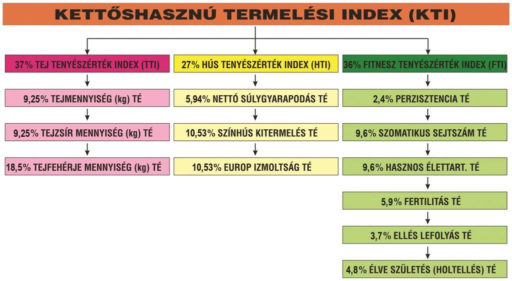 MEGVÁLTOZOTT A KTI RÉSZALKOTÓ