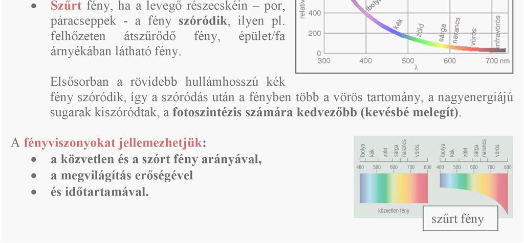 felhőzeten átszűrődő fény, épület/fa árnyékában látható fény.