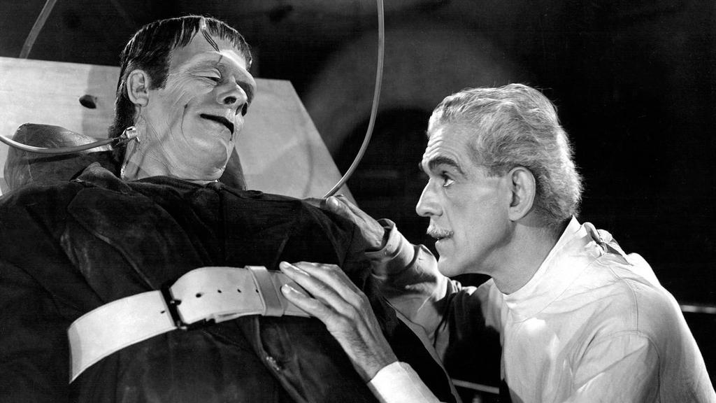 MARY SHELLEY: FRANKENSTEIN Victor Frankenstein, a szépreményű tudós ifjú elhatározza, hogy embert alkot a tudomány eszközeivel. Az eredmény irtózatos: torz teremtmény születik.
