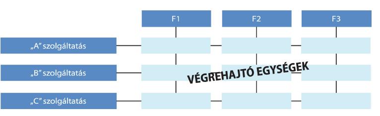 A szervezet jellemzően új divíziók létrehozásával növekszik, amelyek egy-egy termékcsoportra, vevőcsoportra vagy régióra fókuszálnak, így az adott részpiacon általában sikeresebbek lehetnek.