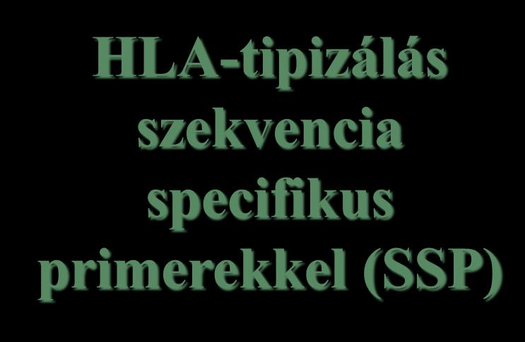 HLA-tipizálás szekvencia specifikus primerekkel (SSP) A