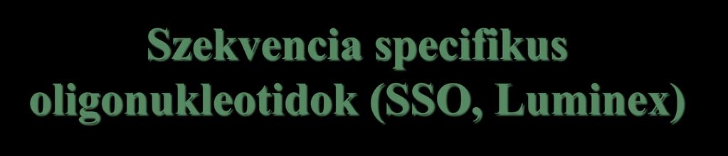 Szekvencia specifikus