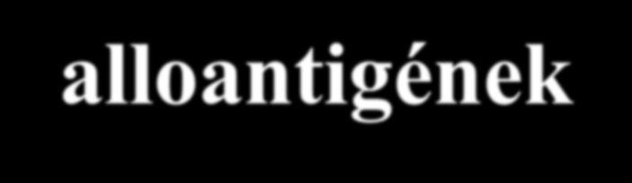 Mitől idegen a graft? -- alloantigének HLA=MHC: HLA-I; HLA-II.