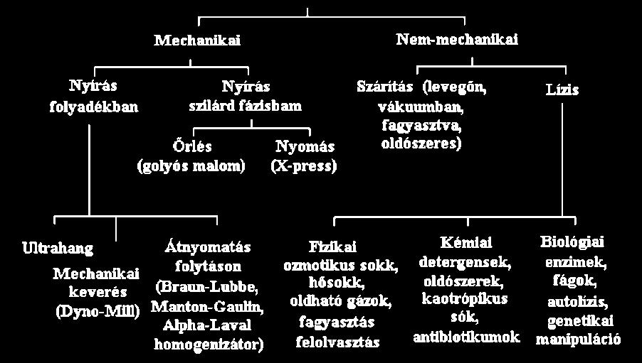 Az inaktiválódás is exponenciálisan