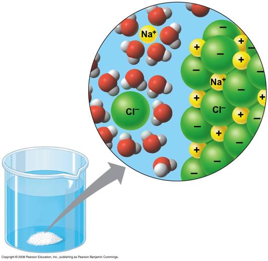 IV. Oldószer A víz polaritása és hidrogén kötéseket kialakító képessége miatt nagyon jó oldószer Ha