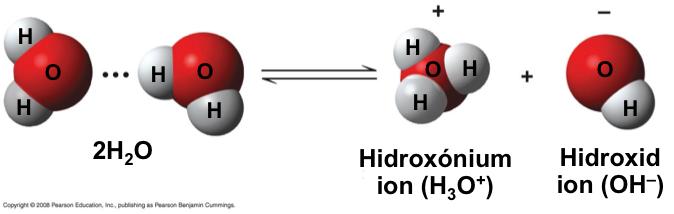 A savas vagy bázikus környezet befolyásolja az élő szervezeteket A hidrogén kötésben a hidrogén ion át tudkerülni az egyik víz molekuláról a