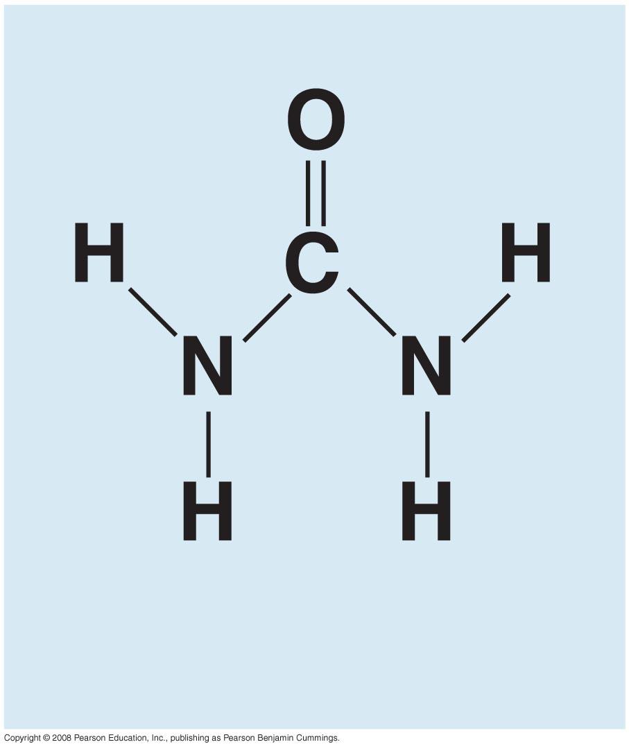 Urea