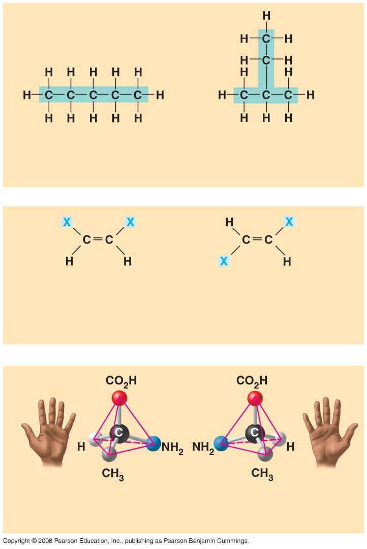 Pentán 2-methyl bután (a) Szerkezeti izomer cisz izomer: a két X azonos oldalon van