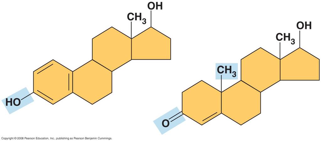 Estradiol