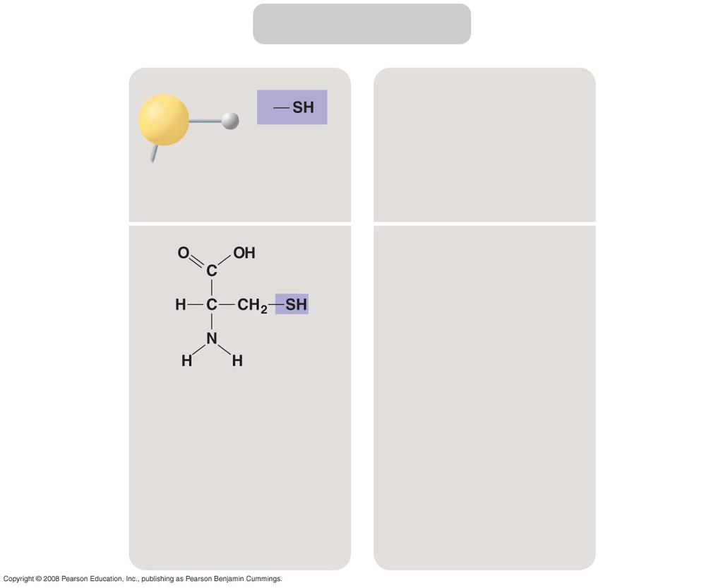 Sulfhidril SZERKEZET Tiolok VEGYÜLET NEVE (néha HS ) PÉLDA Két sulfhidril csoport kovalensen képes összekapcsolódni (pl fehérjék).