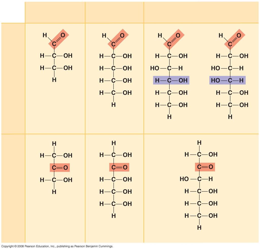 Triózok (C 3 H 6 O 3 ) Pentózok (C 5 H 10 O 5 ) Hexózok (C 6 H 12 O 6 )