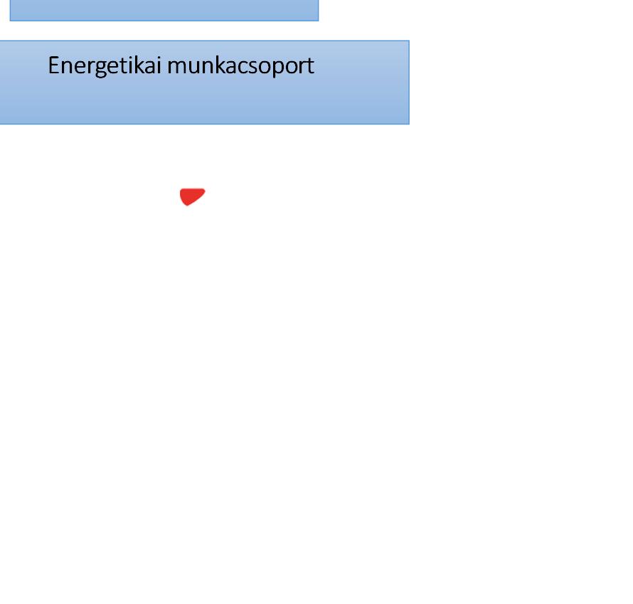 Projekt szervezet EIR Rendszerépítő munkacsoport Project Steering