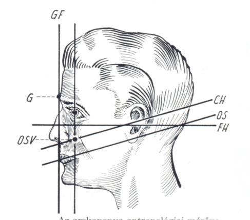 Az alsó és felső állcsontok között lévő vertikális távolságot harapási magasságnak nevezzük, és ekkor a maxilla és a mandibula nyugalmi helyzetben vannak.