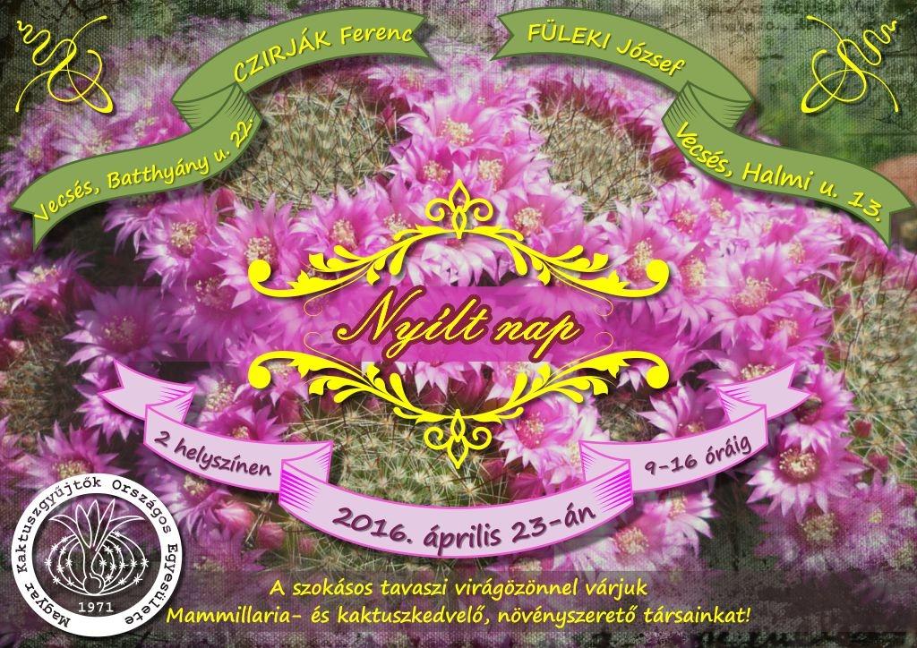 e) A május 20-22-e közötti tavaszi kiállítás fő tematikája a Notocactus nemzetség lesz, dr.