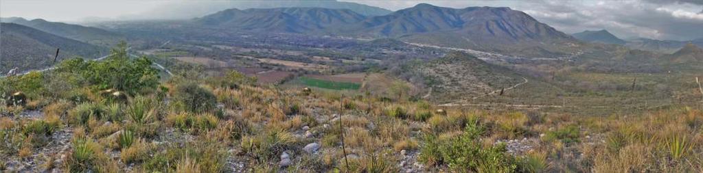 Kilátás az Aramberri-völgyre Marmolejo felől nyugati irányba. VARGA Zoltán: Kaktuszélőhelyek III.
