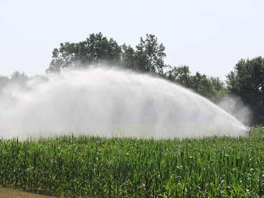 lambda cihalotrin Dózis: 0,2 l/ha Hatóanyag: 100 g/l zeta-cipermetrin Designer hatásfokozóval ajánljuk.