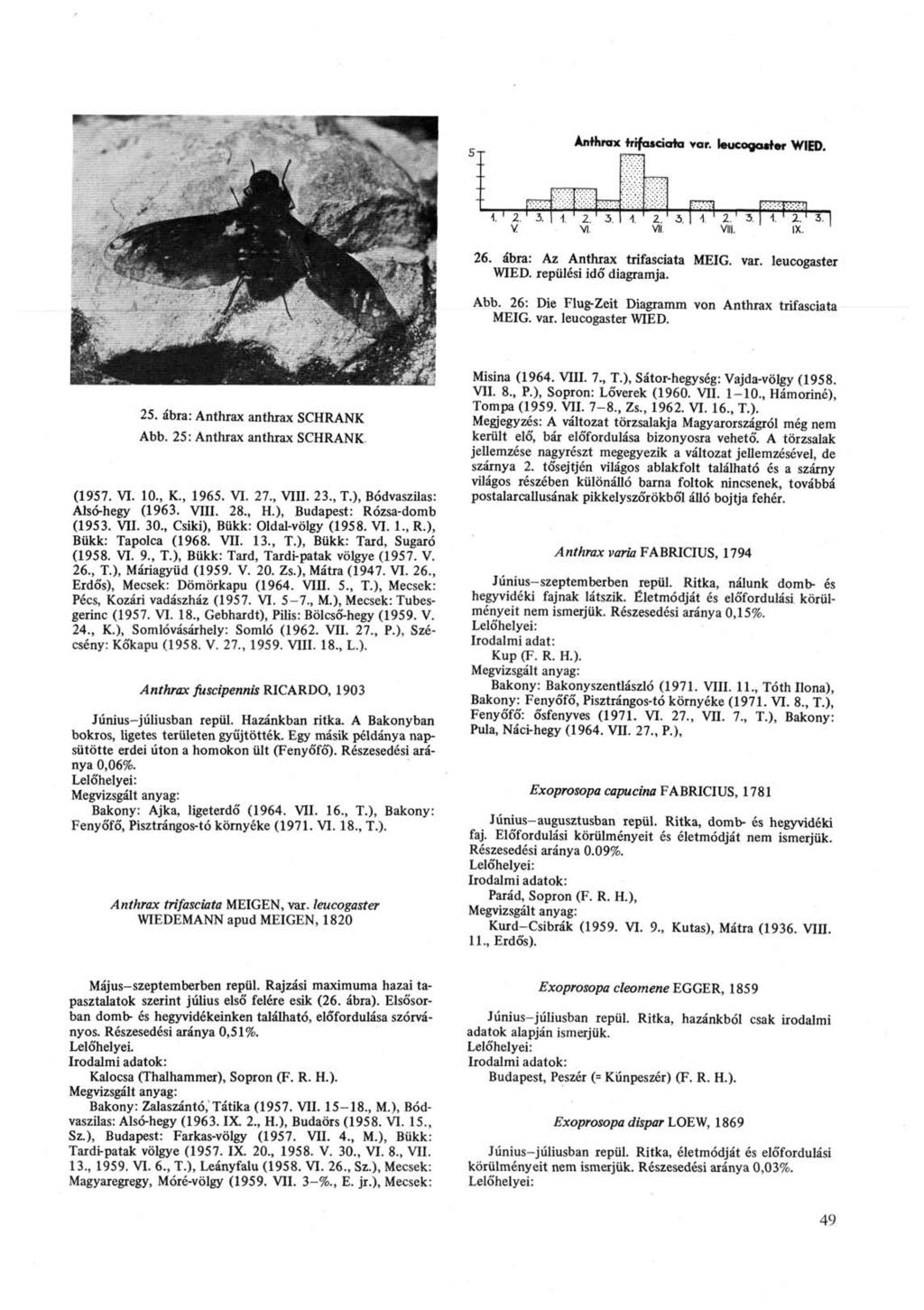26. ábra: Az Anthrax trifasciata MEIG. var. leucogaster WIED. repülési idő diagramja. Abb. 26: Die Flug-Zeit Diagramm von Anthrax trifasciata MEIG. var. leucogaster WIED. 25.