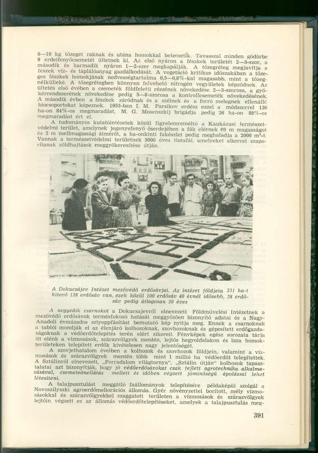 8 10 kg tőzeget raknak és utána homokkal betemetik. Tavasszal minden gödörbe 9 erdeifenyőcsemetét ültetnek ki.