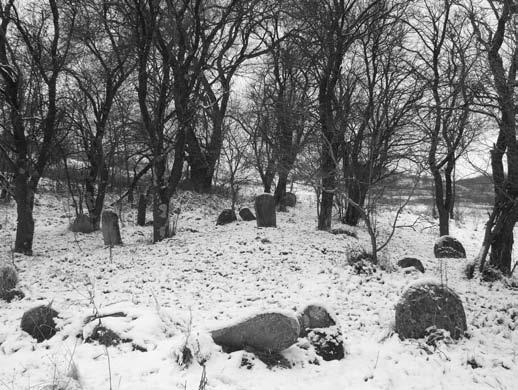 temetőrész), Péterfy László felvétele, 1981.