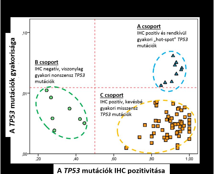 20. ábra: A szomatikus TP53 mutációk csoportosítása gyakoriságuk és IHC pozitivitásuk alapján.