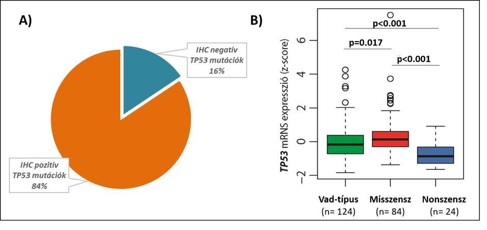 14. táblázat: Az IARC TP53 adatbázisban elérhető glioma esetek p53 IHC státusza Tumor p53 IHC IHC Esetszám (n=353) negatív pozitív pozitivitás Glioblasztóma, NOS 164 21 143 87,20% Asztrocitóma, NOS
