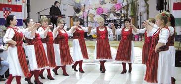 U kulturnome programu nastupao je erčinski Pjevački zbor Jorgovani i Plesna skupina Zorica, te domaća plesna grupa Igraj kolo, koja je na veselici proslavila petu godišnjicu postojanja.
