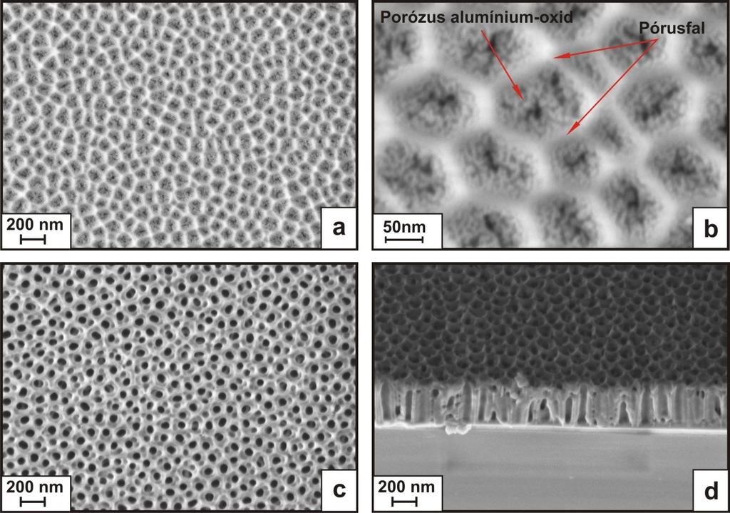 42. ábra Kétlépéses, 60 V konstans feszültségű anodizálással nyert AAO morfológiája különböző idejű pórustágítás után. Nyers AAO felülete a második anodizálást követően a).