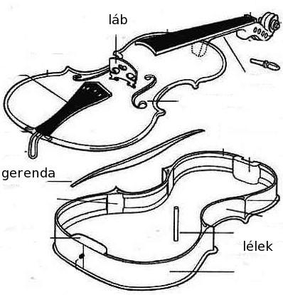 11. Vonós és pengetős hangszerek A vonóscsalád legfontosabb tagja természetesen a Stradivari-korszak idejére kikristályosodott hegedű, melynek fontosabb alkotó részeit a 11.1 ábra mutatja.
