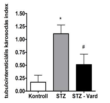 kiértékelésének grafikonjai. F: vizelet protein/kreatinin hányados (mg/mg). *:p<0.05 vs.