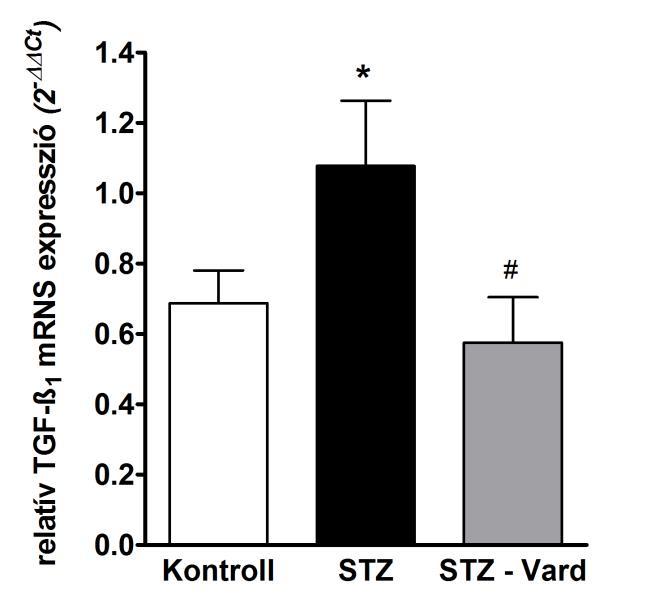 Kontroll, #: p<0.05 vs.