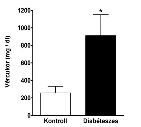 hányados, a szérum glükóz, és a szérum urea érték a diabéteszes patkányokban a nemdiabéteszesekhez képest. (22.
