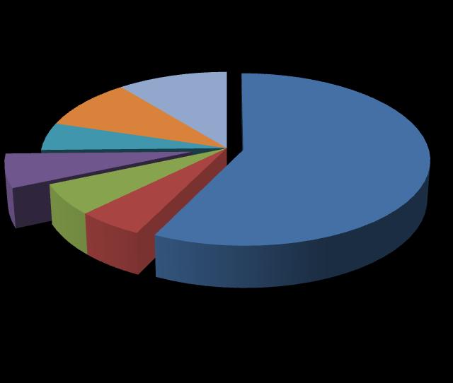 8 12. diagram: A kutató-fejlesztő helyek tényleges létszámának megoszlása régiónként (29) 5,2% 9,5% 1,7% 6,3% 57,2% 5,9% 5,2% A teljes munkaidejű dolgozókra átszámított foglalkoztatotti létszám