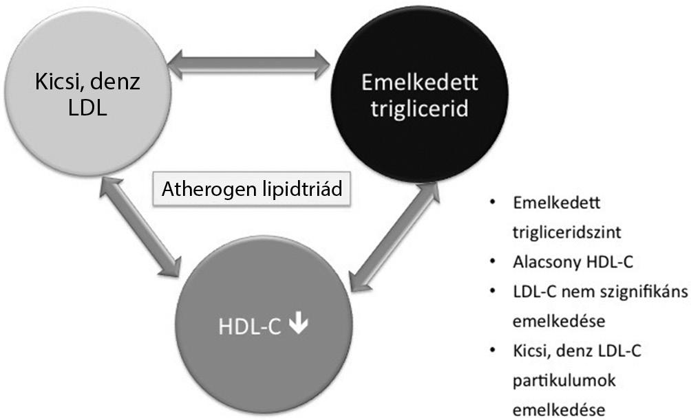 mia are statins. Nevertheless, it is known that even if statin therapy is optimal (treated to target), a considerable residual (lipid) risk remains.