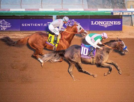 Nemzetközi galopp Két nap, tizenhárom Grade 1-es futam. Ez volt a 2016-os Breeders Cup meeting, amely pénteken és szombaton került megrendezésre a Santa Anita Parkban.