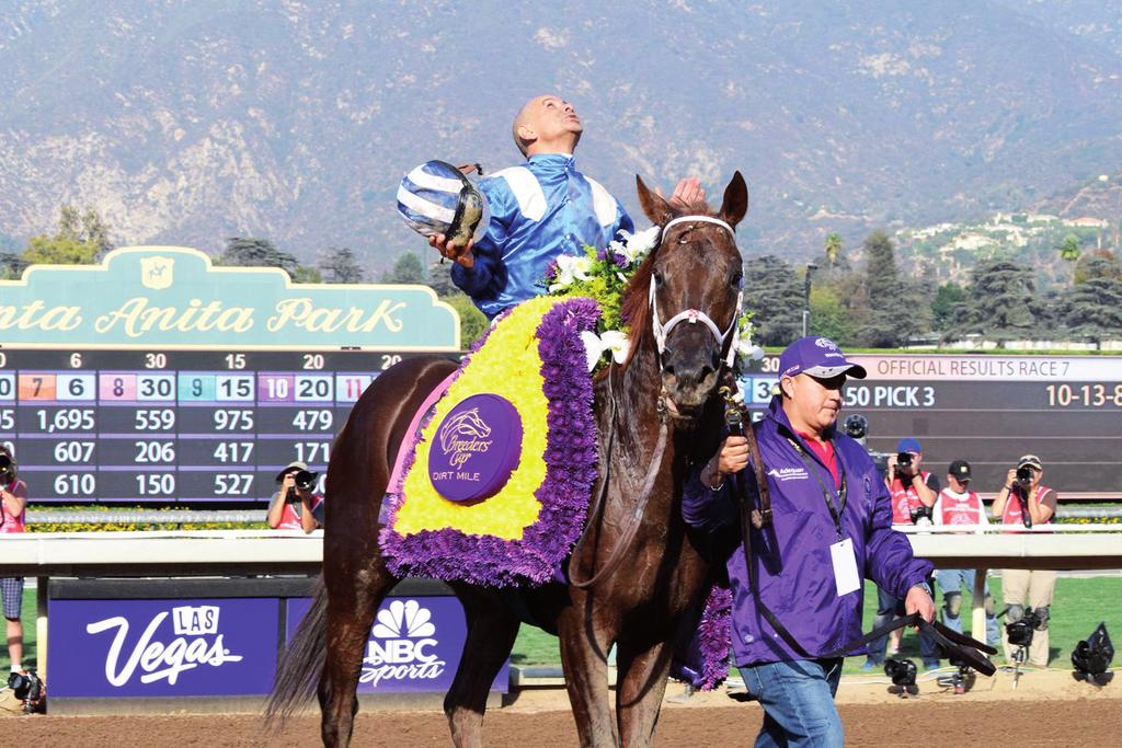 A további európai remények a kétévesek füves párbajaiban voltak, ám a Breeders Cup Juvenile Turf és a Breeders Cup Juvenille Fillies Turf is amerikai kézbe került.