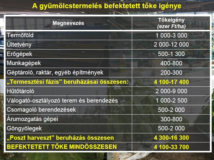 A gyümölcsfélék: fásszárú (kivéve a szamóca), több éves, nyersen vagy feldlgzva élvezettel